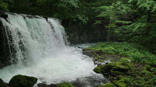 奥入瀬渓谷最大の滝、マイナスイオンがすごい