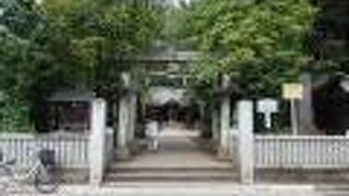 練馬散策(1)で氷川神社に寄りました