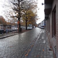 エントランス横の景色