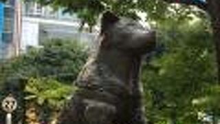 渋谷のシンボル