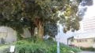 大須観音の近くです