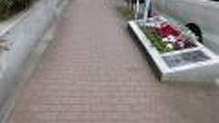 花壇がきれいに手入れされていました