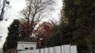 早く再開してほしい私立美術館