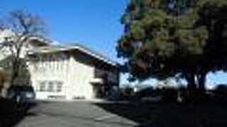 ケヤキの大木が目印