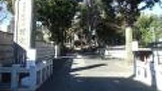 吉良家歴代の墓所と竹林が見所