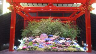 約２．５カ月ぶりに利用