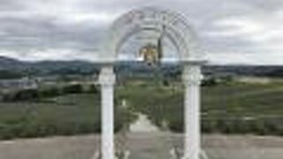 丘一面にラベンダー