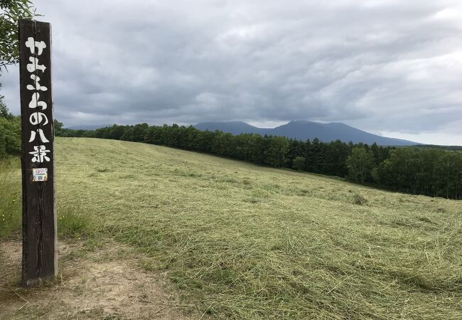 和田草原とどんぐりの郷