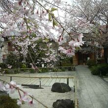 4月初旬だと境内の枝垂れ桜が綺麗に咲いてました