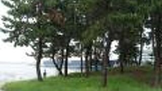 人が少なくのんびりとした雰囲気が心地よいです