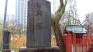 【鳥塚】弁天堂の裏手にありました