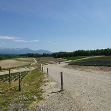 この奥の花が咲いていればものすごくきれいです