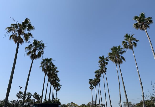 絶好の散歩コースあり