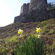 エルシー・ピドックが縄跳びをした山が塔から見える、保存度の高い中世のお城