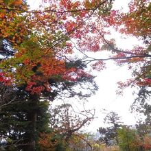城址も紅葉の季節