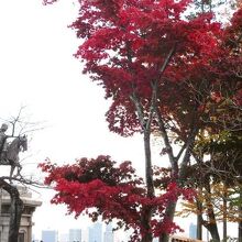 紅葉と伊達政宗公騎馬像