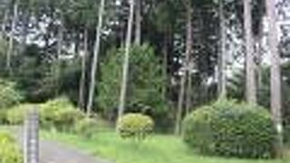 住宅街の中の森の公園