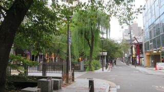 高瀬川沿いです