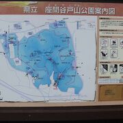 駅周辺の住宅街の中の森の公園