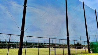 陸上大会！にきた