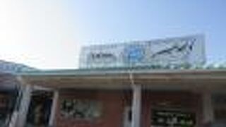 食事とお土産と