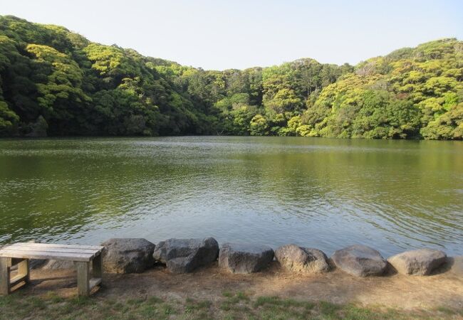 神社にある