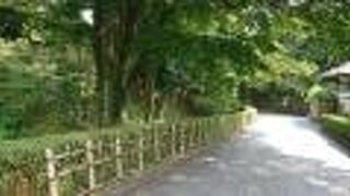 花見だけでは無い公園