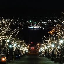 八幡坂のイルミネーション