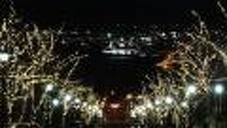 函館イルミネーションのスポット