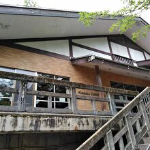 山野草の展示もしていました