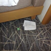 ベッドの下からゴミが出て来た。