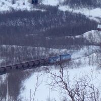 スキー場からビヨルクリーデン駅を眺める　貨物車が見えます