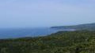 海を一望できる