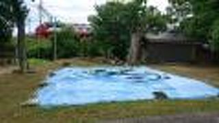 社殿前に土俵がありました