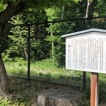 新座市・平林寺の近くにて！