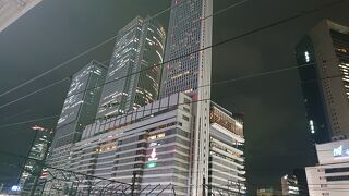 堂々とした様が印象的