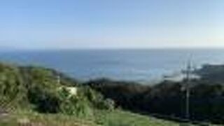 地元の柑橘類販売あり