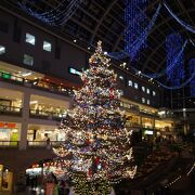 大きなクリスマスツリーが点灯