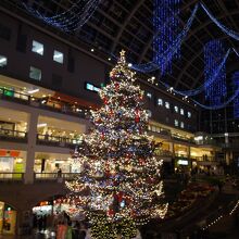 サッポロファクトリーのクリスマスイルミネーション