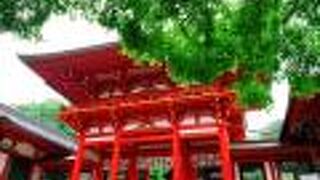 朱色の楼門と、青もみじのコントラストが素晴らしい!