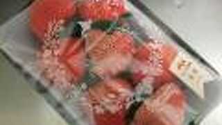 （再訪）催事が楽しい