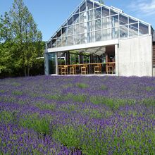 反対側から見ると、このようになっています