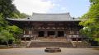 見どころ満載の境内