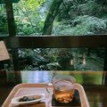 薬膳茶ソイビーンフラワー atきらら