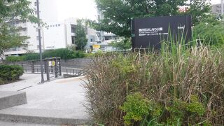 スカイツリーの下