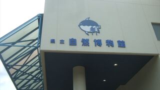 いろいろと勉強になる水族館