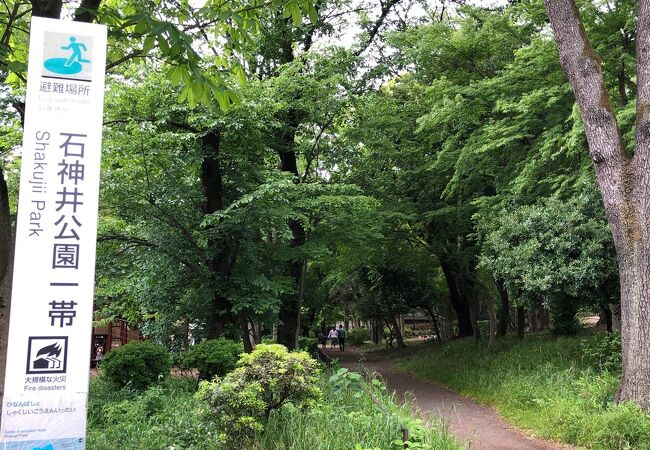 練馬の公園 植物園 クチコミ人気ランキングtop11 フォートラベル 東京 練馬の公園 植物園 クチコミ人気ランキングtop11 フォートラベル 東京