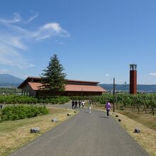 そしてこの道を歩いていきます