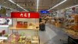 キタキツネに遭遇しました