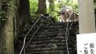 緑深い中の神社